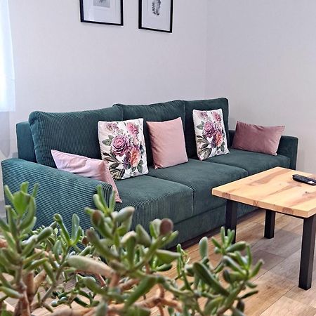 Apartament Dzika Roza Kowary Extérieur photo