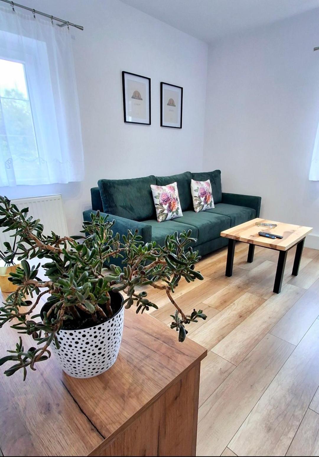 Apartament Dzika Roza Kowary Extérieur photo