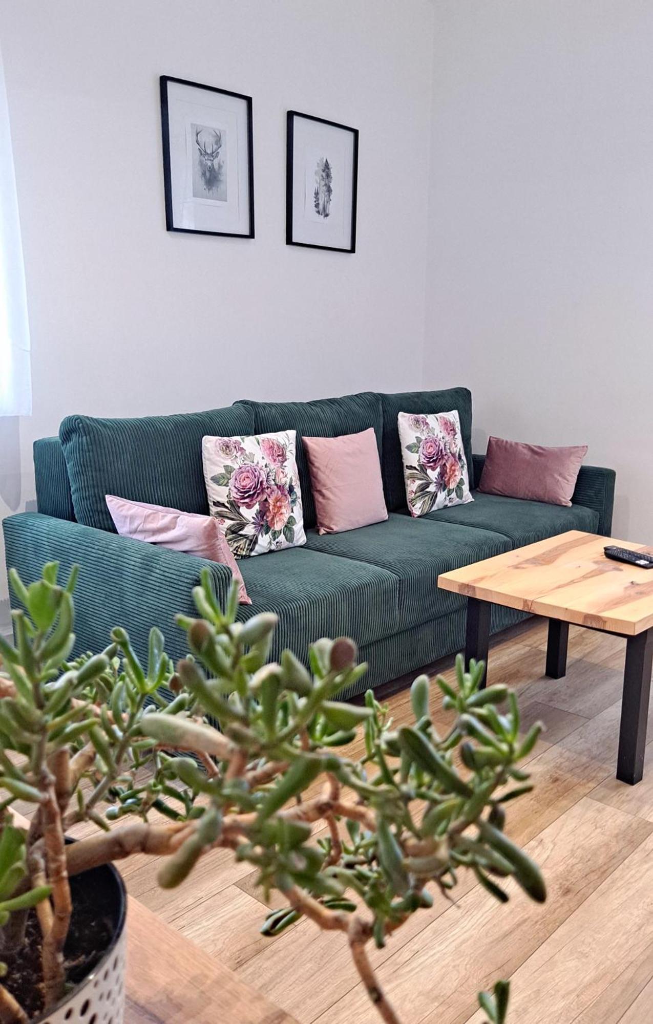 Apartament Dzika Roza Kowary Extérieur photo